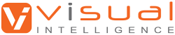 Visual Intelligence Logo